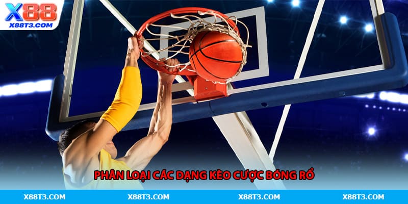 Phân loại các dạng kèo cược bóng rổ