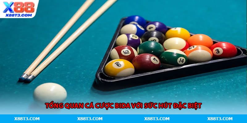 Tổng quan cá cược Bida với sức hút đặc biệt